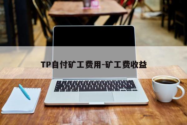 TP自付矿工费用-矿工费收益