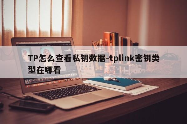 TP怎么查看私钥数据-tplink密钥类型在哪看